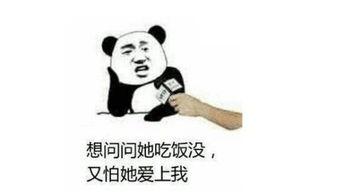 娱乐吃瓜酱笑话