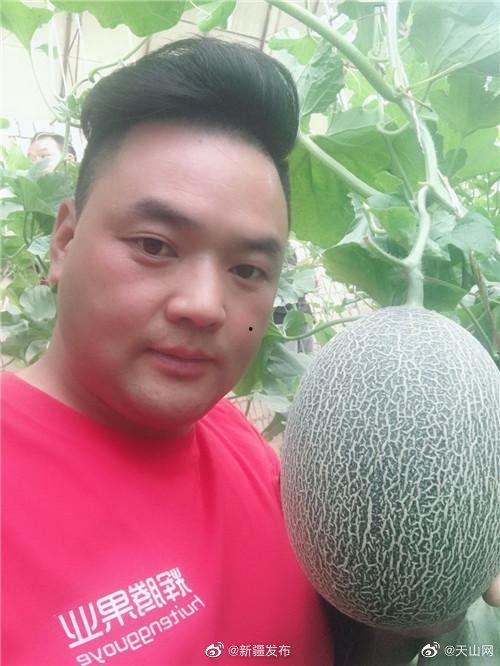 吃瓜直播网,带你领略网络直播的趣味与魅力