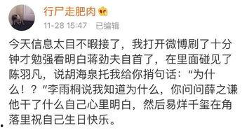 爆料吃瓜指南,如何成为吃瓜群众的达人指南